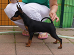 Bella 3,5 Monate alt