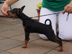 Bella 3,5 Monate alt