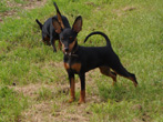 Bella 4 Monate alt