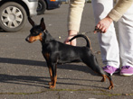 Bella 9 Monate alt