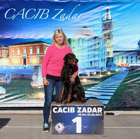 Zadar 2017